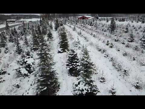 Winter Drone Flight in Edinboro, PA