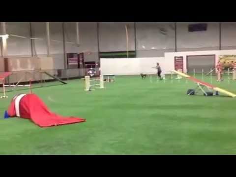 Zest standard Cheswick