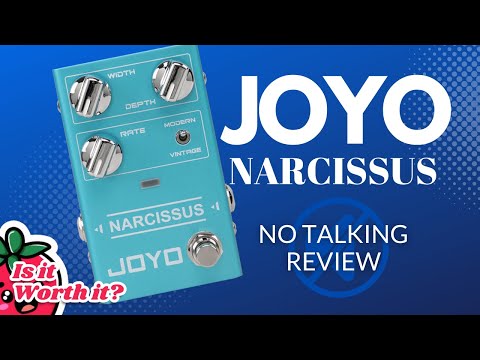 JOYO Chorus Pedal Multiple Chorus Effects Semi-Analog Circuit From Surreal Deep Tone to Fierce and Vintage Distortion for Electric Guitar (NARCISSUS R-22) image 4