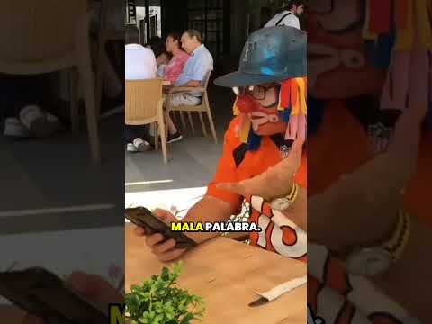 YouTube video