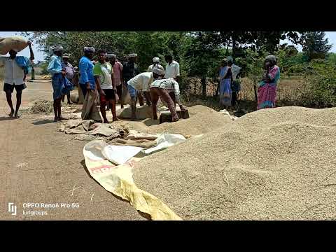 White Parboiled Broken Rice, PP Bags