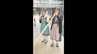 Alphorn, Jodeling, Swiss Akkordeon / Solo, Duo or Trio
