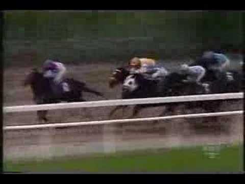 Cigar Breeders Cup Classic 1995 + post race coverage