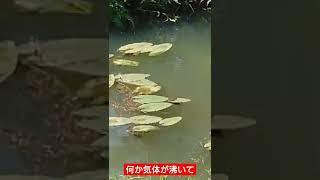 ガス？ ずっと沸いてるんだけど