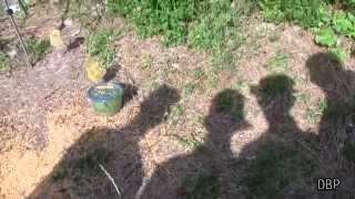 BTS of My Dhal Ain't Spoil (VLOG)