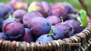 Sanctuary 2013 Cabernet Sauvignon, Rutherford, Napa Valley