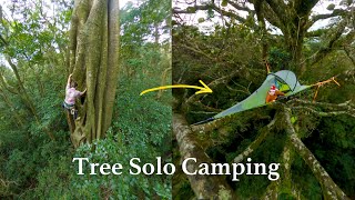 Download lagu Solo climbing a giant strangler fig tree and camping in it overnight mp3