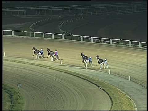 Trotto 09/07/2016 - 1° prova di qualifica