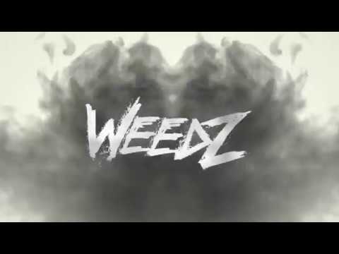 Weedz - Learned ft.Tøda (Lyric Video)