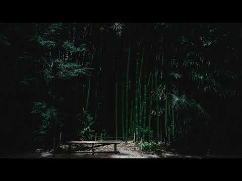 Anemone x AnnN x Dyrox // The Gallantry