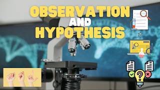 ASL Observation and Hypothesis
