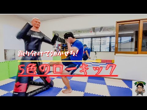5色のローキックで効かせろ！