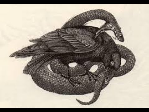 [TABS] Crows Vs Snakes