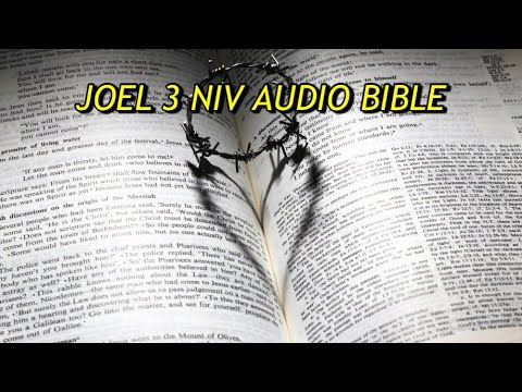 JOEL 3 NIV AUDIO BIBLE(with text)