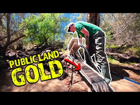 Gold Prospecting on Public Land — The Harsh Reality