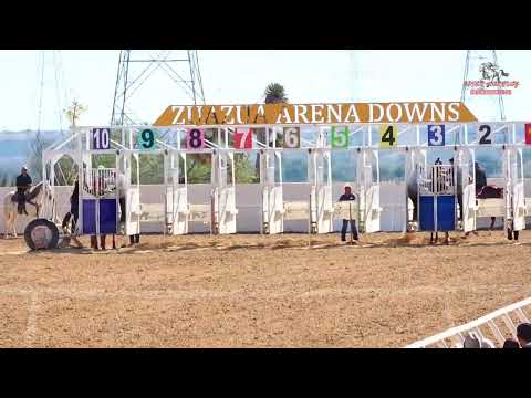 El tapabocas 😷🐎