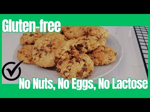 Easy Gluten-Free Chocolate Chip Cookies | Allergy-Friendly Recipe