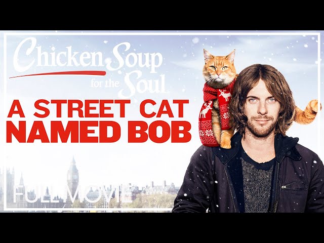 Vídeo relacionado con A street cat named Bob: How one man and his cat found hope on the streets (Bob, 1)