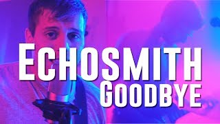 ECHOSMITH - Goodbye | Nick Warner, Chris Cadwell COVER