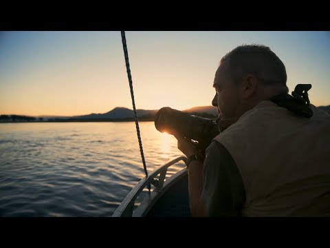 OUT NOW: DAVID YARROW MASTERCLASS - MASTERS OF PHOTOGRAPHY TRAILER [HD]