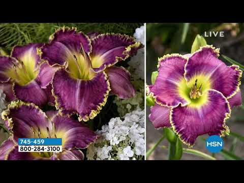 HSN | Guy's in the Garden 04.09.2021 - 10 AM