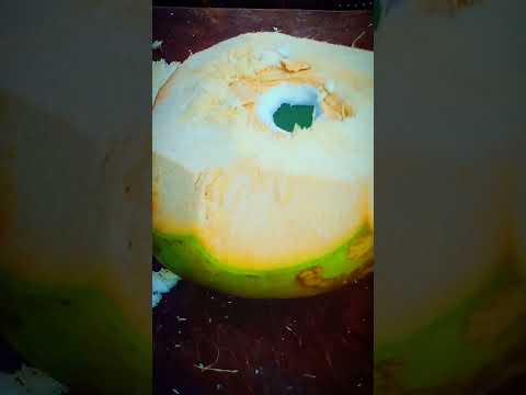 coconut cutting😋#shorts#satisfying#viral