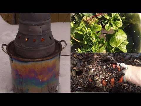 How I Get My Gardening Fix in the Winter