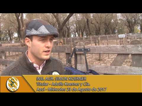 23-08-17 Nota Simón Koerner - Adolfo Koerner y Cía. - Azul