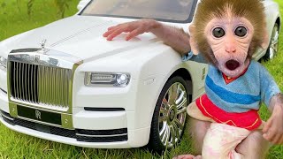 Download lagu Monkey Bon Bon Drives a Car and Finds the Missing Duckling | Bon Bon Indonesian mp3 Download lagu Monkey Bon Bon Drives a Car and Finds the Missing Duckling | Bon Bon Indonesian mp3