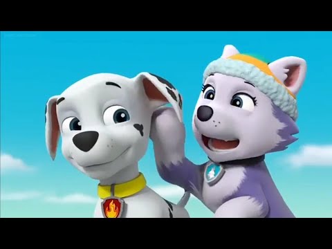 Paw Patrol Clip: Mighty Pup Super Paws || Everest Itches Marshall's Ear & Unfreezes Him In Tag ||