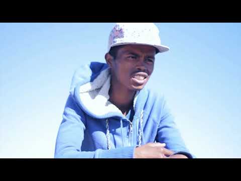 RSS&Steicha Elanelantany