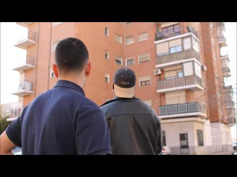 Luccian x Ergo Pro - Conceptos