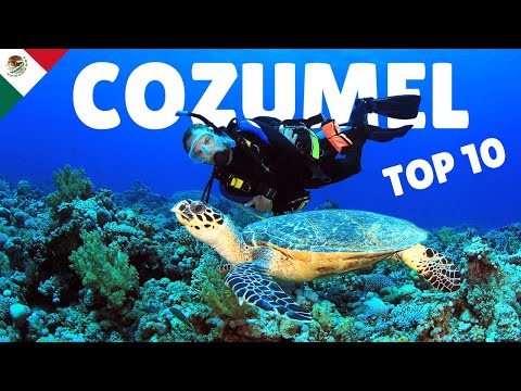 Diving Paradise in Mexico | Best things to do in Cozumel