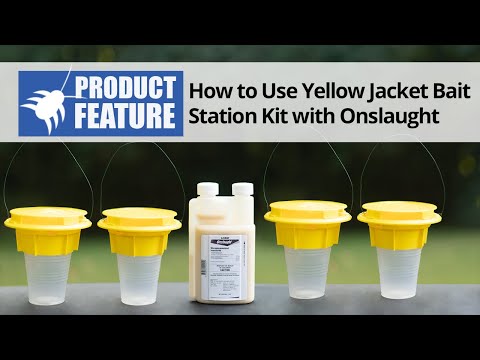 Yellow Jacket Bait Station Kit with Onslaught | DoMyOwn.com