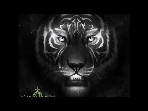 Sher Rann Vich Lalkaare Maarda (CHAMKAUR SAHIB JUNG) - Kam Lohgarh (BLACK HILL)💥