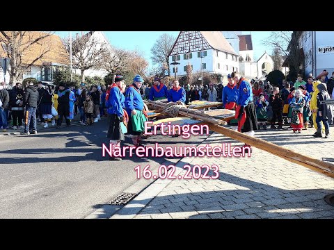 Ertingen, Narrenbaum 2023