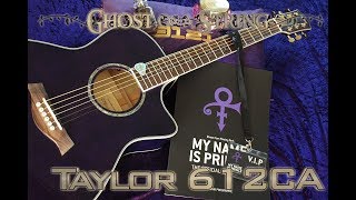 Video thumbnail for Custom Prince purple Taylor 612CE by jem777mc