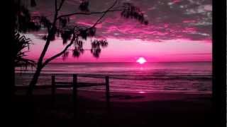 I need your loving ... Like the sunshine ...