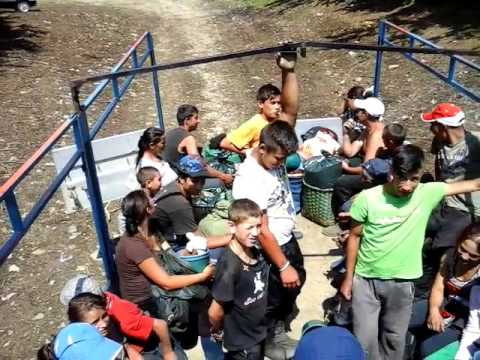 SAtenii di suplai priviti ce munca presteaza si in ce conditii Extraordinar!!!!!!