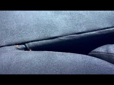 Bed Bugs Crawling in the Couch in Montgomery, NJ