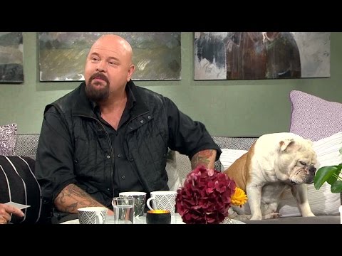 Anders Bagges starka känslor för sin hund Esther - Malou Efter tio (TV4)