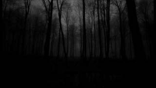 Shape Of Despair - Down Into The Stream