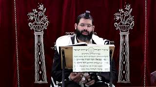 זבחים דף ע"ז ע"א ¤ הרב נתנאל אברז'ל ¤ בית הכנסת "בית מרדכי" (מוסדות תורת דוד) - התמונה מוצגת ישירות מתוך אתר האינטרנט יוטיוב. זכויות היוצרים בתמונה שייכות ליוצרה. קישור קרדיט למקור התוכן נמצא בתוך דף הסרטון