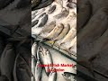Fish Market In London A Small Fish Market London Fish Market Fish Monger In London Shorts