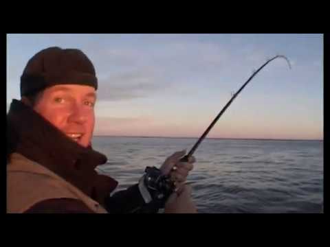 FISH M: Salmon Fishing in Vänern, Sweden (Fiskedrag S03E04)
