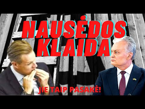 Murmantis prezidentas: ko galima dar tikėtis iš Gitano Nausėdos