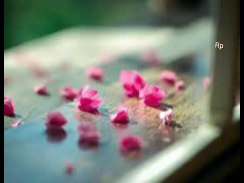 download lagu mp3 mp4 Taunting Status For Boyfriend, download lagu Taunting Status For Boyfriend gratis, unduh video klip Taunting Status For Boyfriend