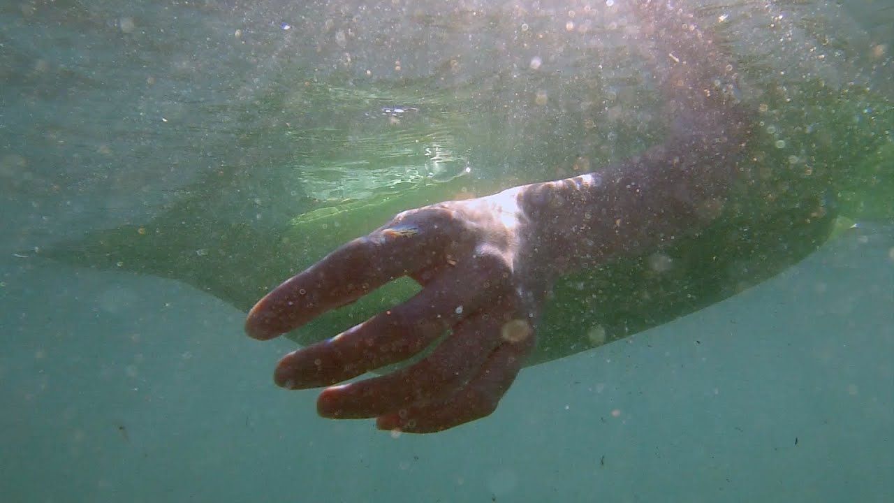 🩸 DEPREDADORES SOBRE EL MAR 🌊 | Cortometraje de terror y fantástico (2025)