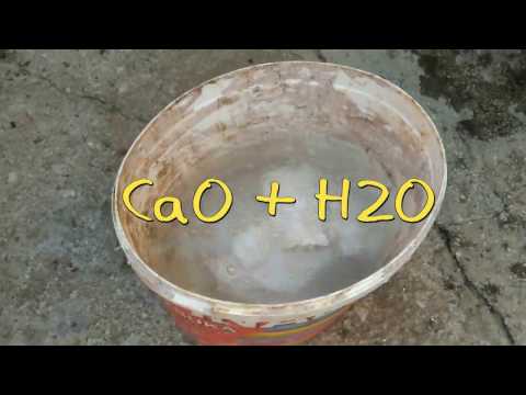 download lagu mp3 mp4 Where Can I Buy Calcium Oxide, download lagu Where Can I Buy Calcium Oxide gratis, unduh video klip Where Can I Buy Calcium Oxide