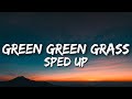 George Ezra - Green Green Grass (Sped Up / TikTok Remix) Lyrics | "green green grass blue blue sky"